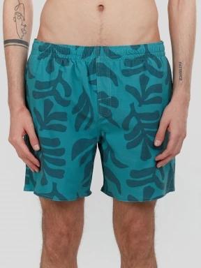 Fundango Bono Print Boardshorts férfi boardshort zöld színben 1