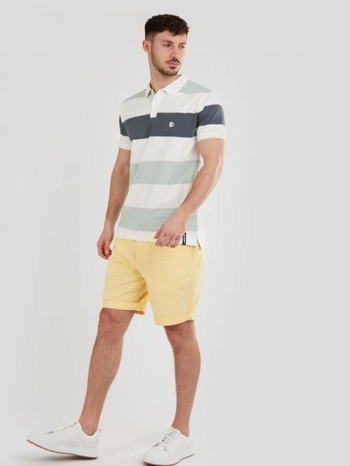 Incognito Stripe Poloshirt