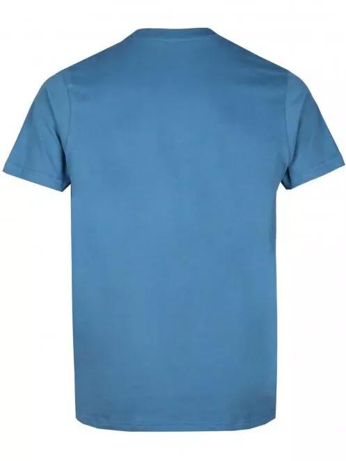 Fundango Basic T Logo-6 T-shirt férfi rövid ujjú póló kék színben 7