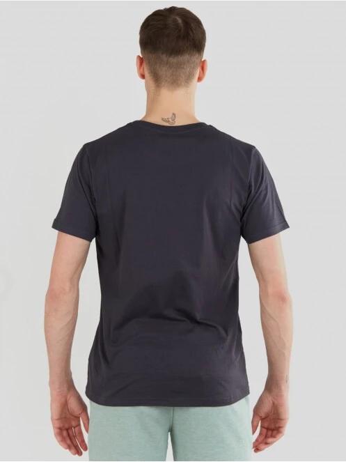 Fundango Basic - T Logo-4 T-shirt férfi rövid ujjú póló szürke színben 3