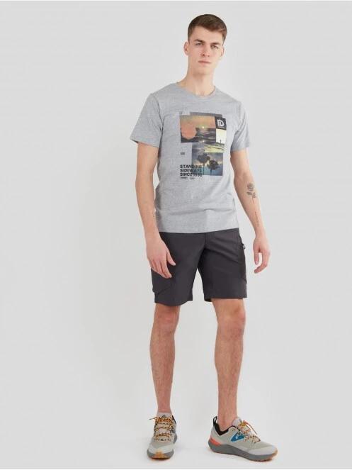 Fundango Basic - T Logo-9 T-shirt férfi rövid ujjú póló szürke színben 4