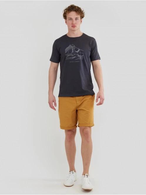 Fundango Basic - T Logo-11 T-shirt férfi rövid ujjú póló szürke színben 4