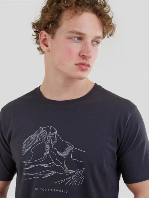 Fundango Basic - T Logo-11 T-shirt férfi rövid ujjú póló szürke színben 5
