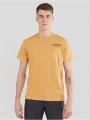Fundango Basic - T Logo-7 T-shirt férfi rövid ujjú póló sárga színben 1